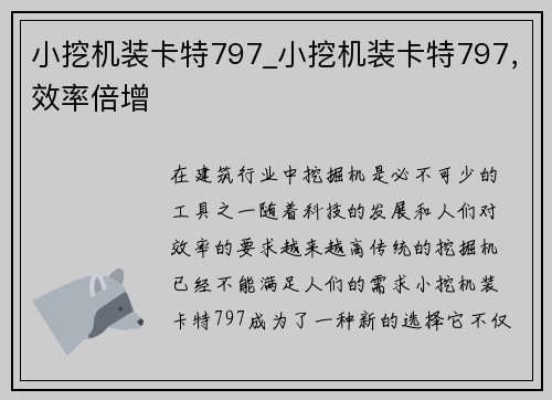 小挖机装卡特797_小挖机装卡特797，效率倍增